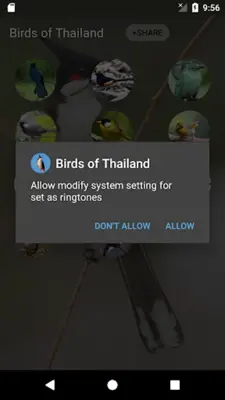 Birds of Thailand android App screenshot 2