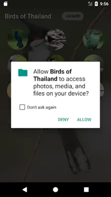 Birds of Thailand android App screenshot 3